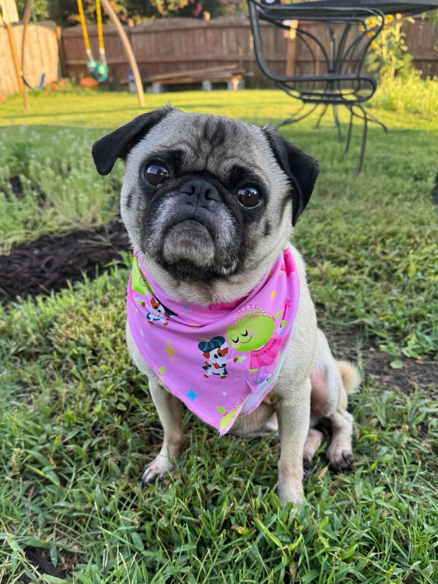 Dog Bandana - Nanalan' Wonderful Girl - Tencel Modal