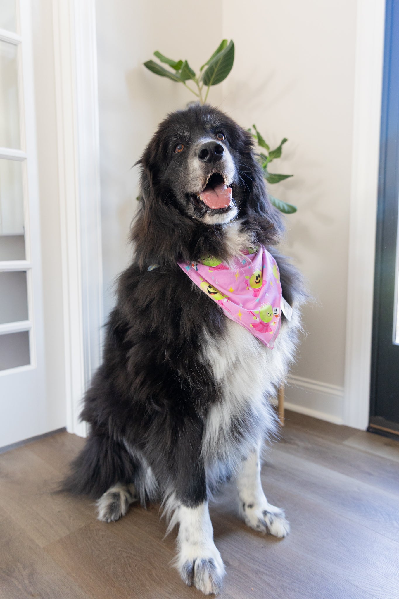 Dog Bandana - Nanalan' Wonderful Girl - Tencel Modal