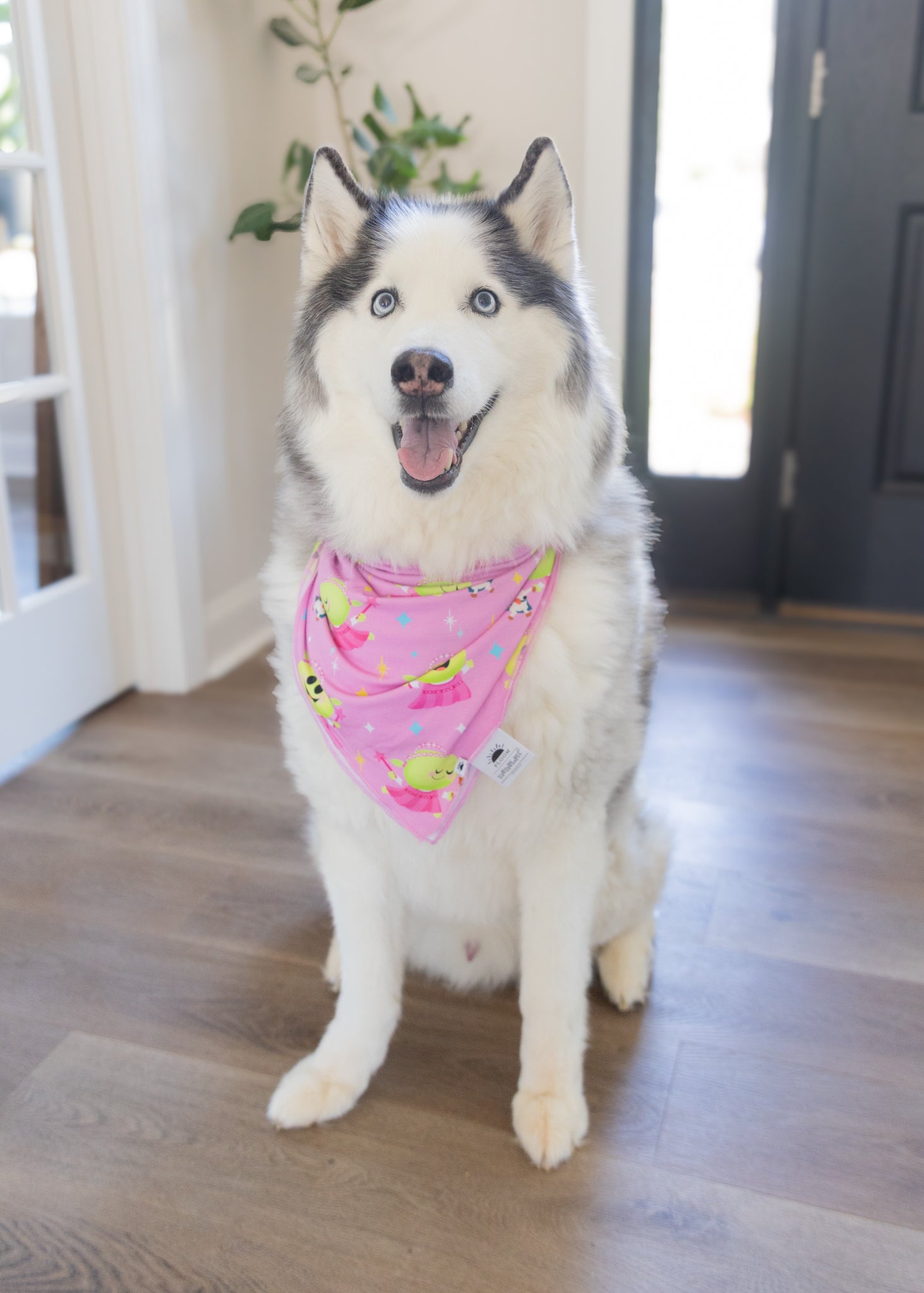 Dog Bandana - Nanalan' Wonderful Girl - Tencel Modal