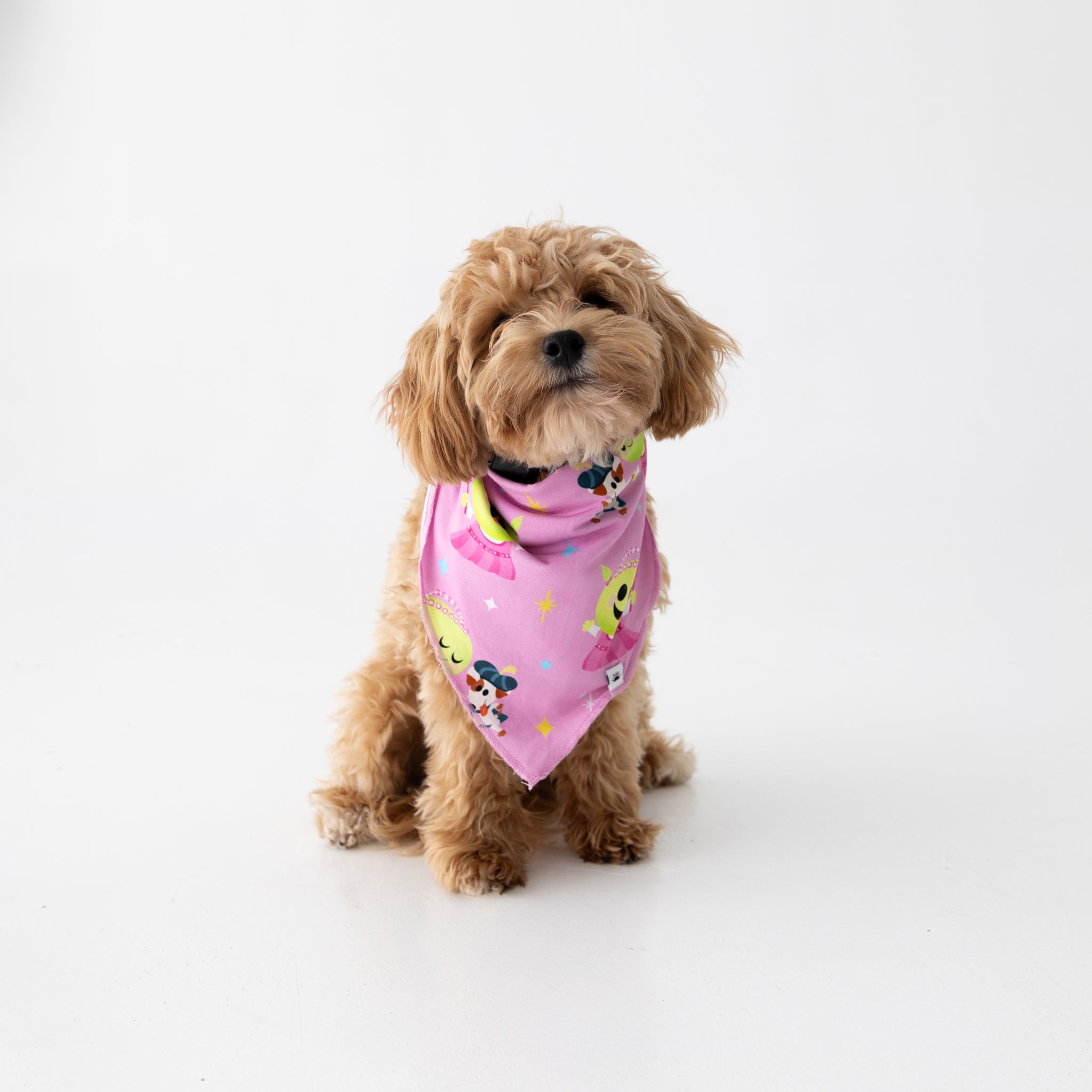 Dog Bandana - Nanalan' Wonderful Girl - Tencel Modal