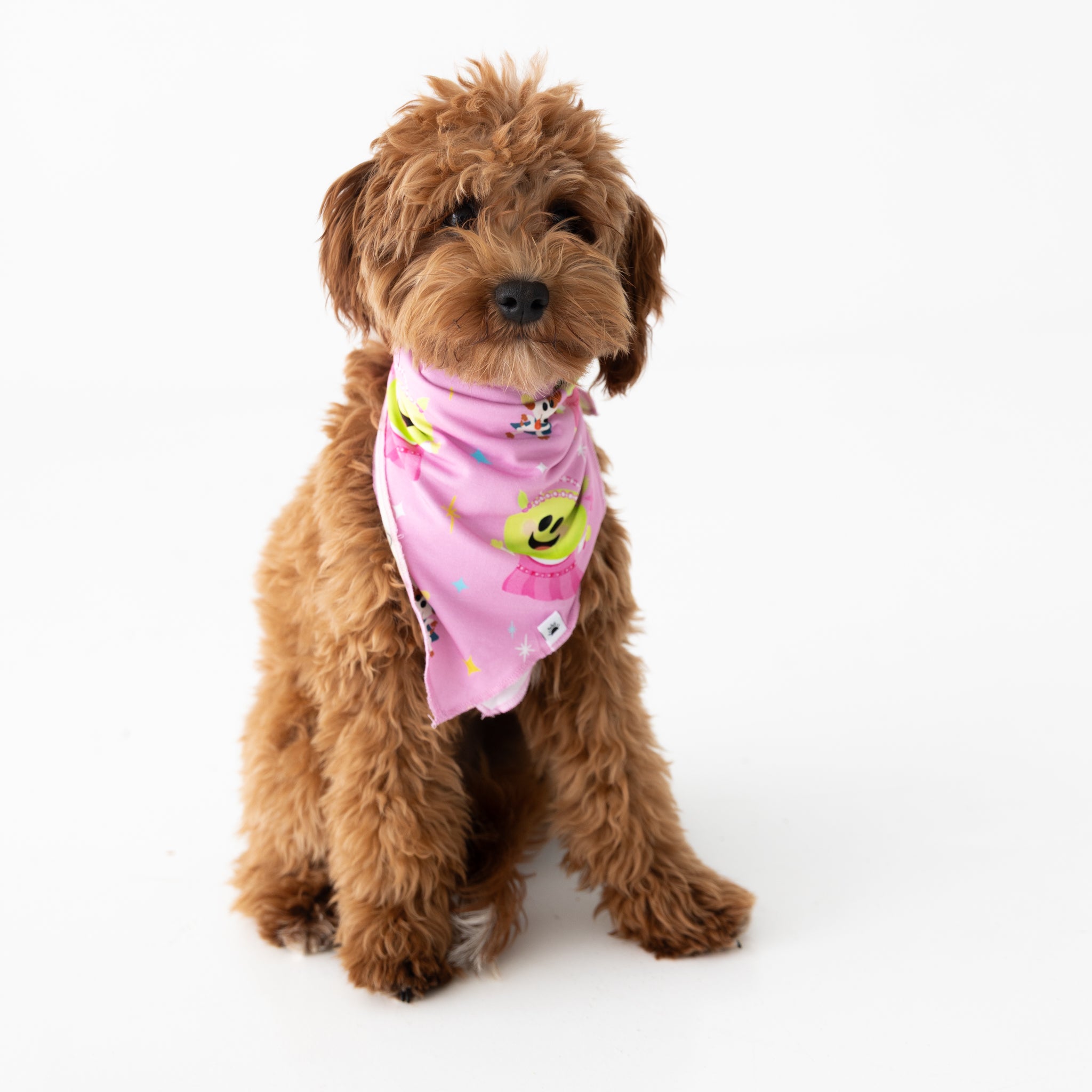 Dog Bandana - Nanalan' Wonderful Girl - Tencel Modal
