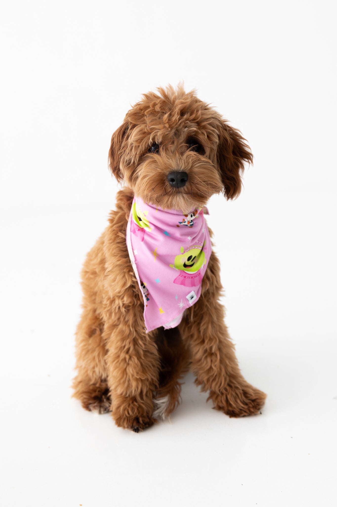 Dog Bandana - Nanalan' Wonderful Girl - Tencel Modal