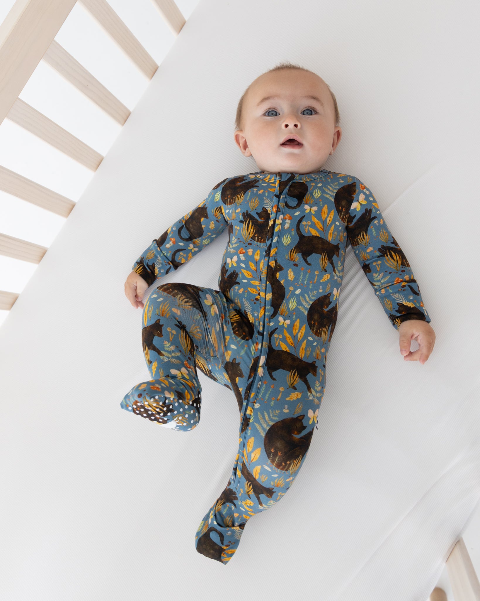 Flexi-Fit Zip PJ - Toe Beans - Tencel Modal